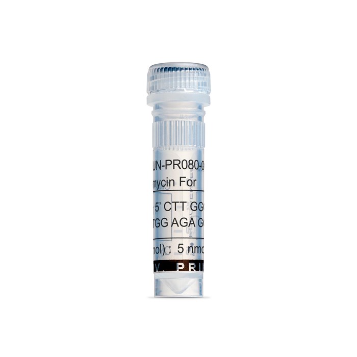 Tube of Neomycin Forward Primer