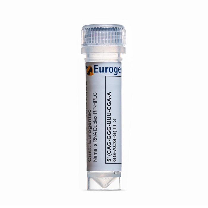 Tube of siRNA Duplex RP-HPLC purified