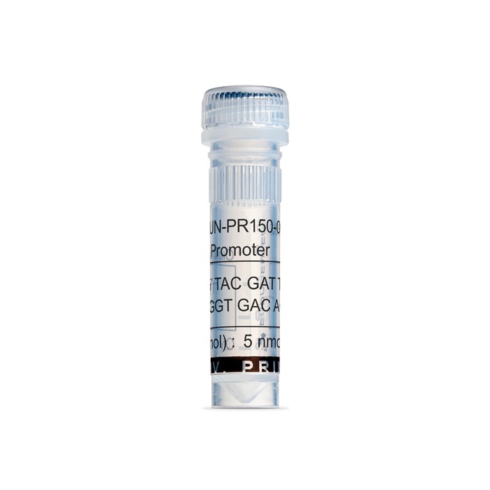 Tube of SP6 Promoter Primer