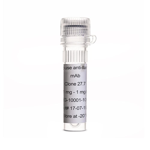 Tube of Mouse anti-llama IgG1, Monoclonal Antibody