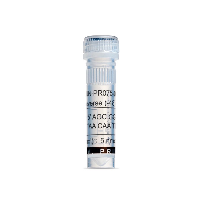 Tube of M13 Reverse (-48) Primer