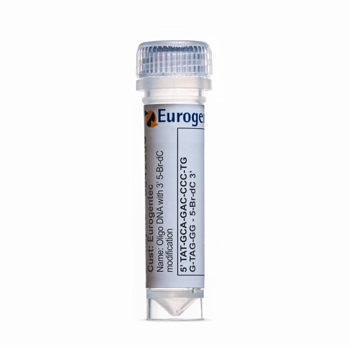 Example of a tube containing an Oligonucleotides with 5-Br-dC  modification