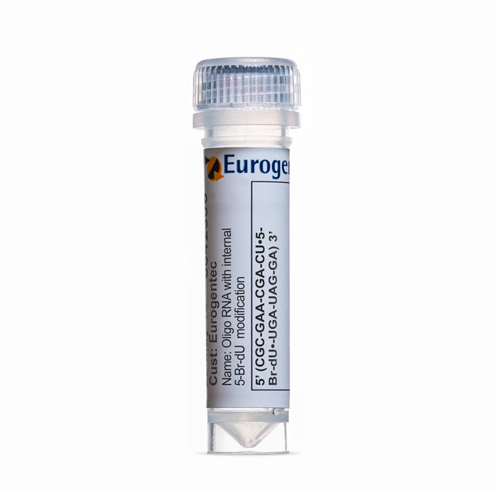 Example of a tube containing an Oligonucleotides with 5-Br-dU  modification