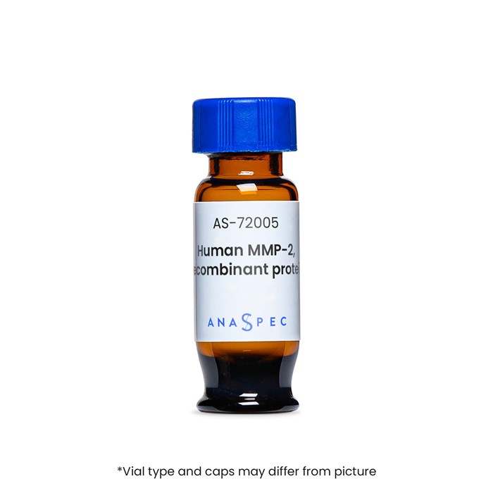 Vial of Human MMP-2