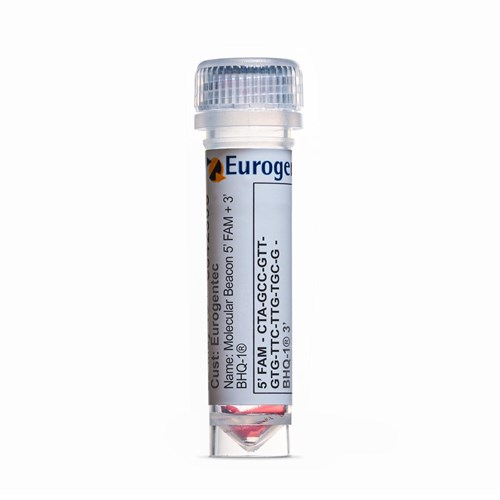 Example of a tube containing a Molecular Beacon 5’ FAM plus 3’ BHQ-1