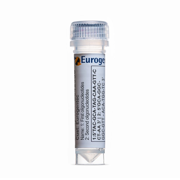 Example of a tube of mixed oligonucleotides