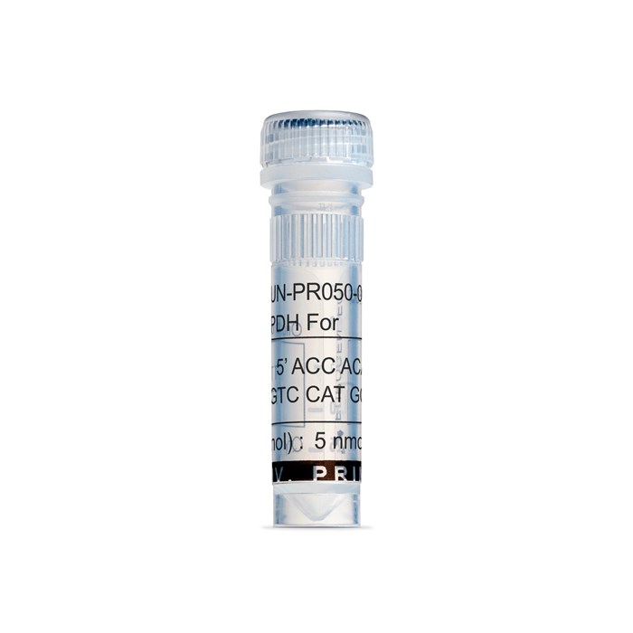 Tube of G3PDH Forward Primer