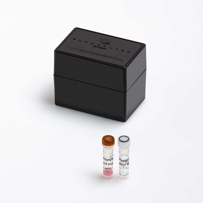 Picture of a Phospholipase A2 Ctrl kit Yakima-EDQ