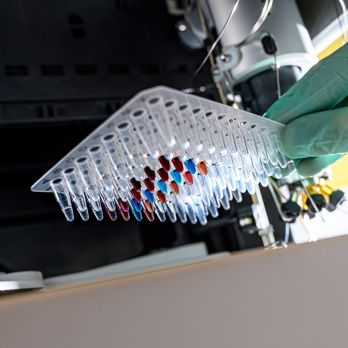 Picture representing oligonucleotides Reverse Phase UHPLC analysis