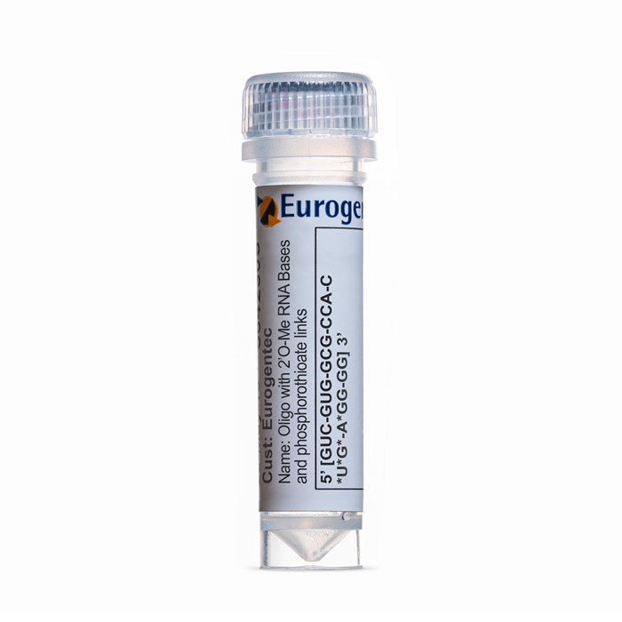 Example of a tube of Oligonucleotide with 2'O-Me RNA Base and phosphorothioate link