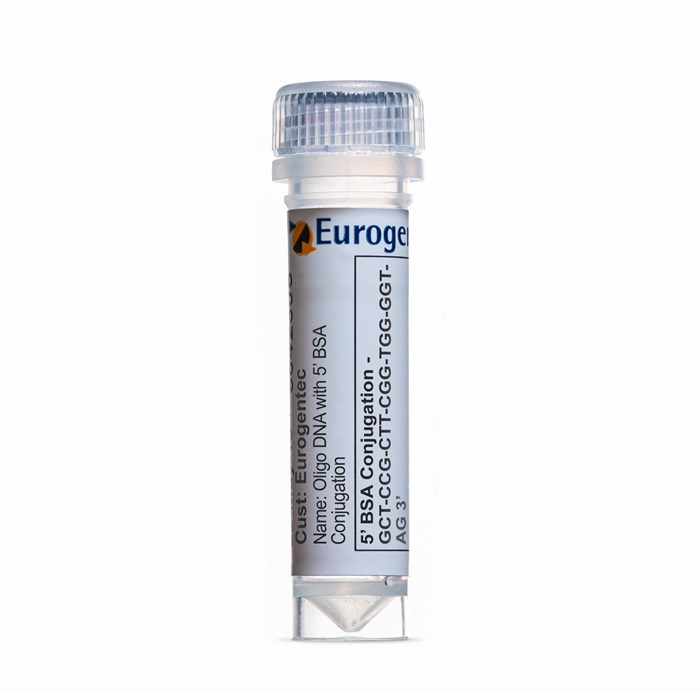 Example of a tube of an Oligonucleotide with 5' BSA Conjugation