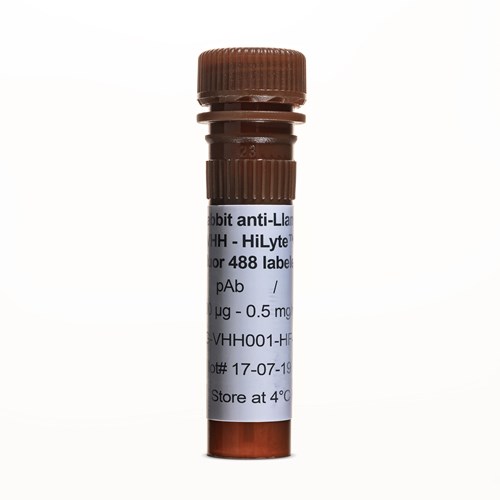 Tube of Rabbit anti-Llama VHH, pAb,HiLyte™ Fluor 488 labeled