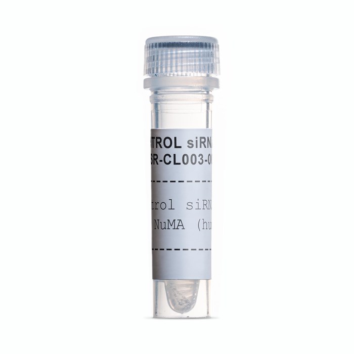 Tube of Control siRNA duplex NuMA (human)