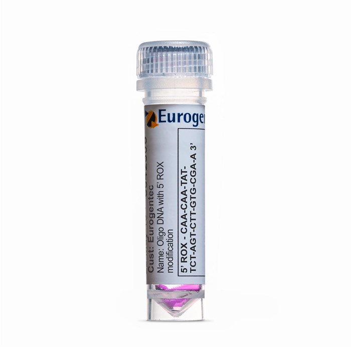 Example of a tube containing an Oligonucleotides with 5' ROX modification