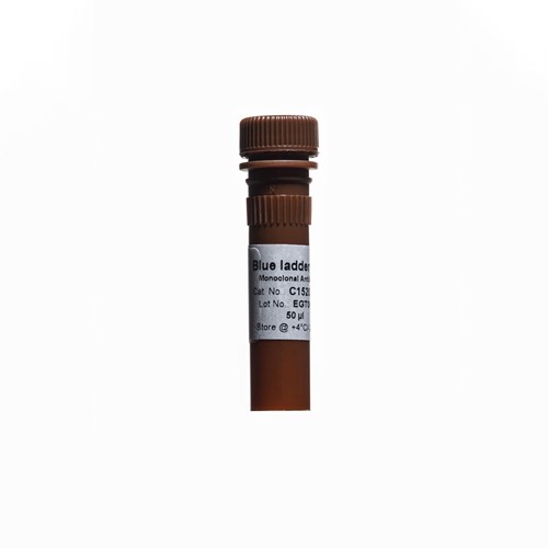 Tube of iD BlueLadder Revealer