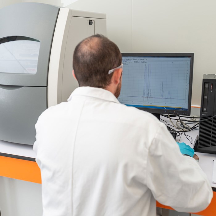 Picture representing a Capillary Gel Electrophoresis