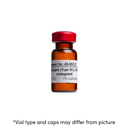 Bottle of Collagen (Type IV), FAM conjugated