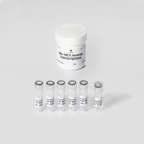 Picture showing a Mu-mlV Reverse Transcriptase kit