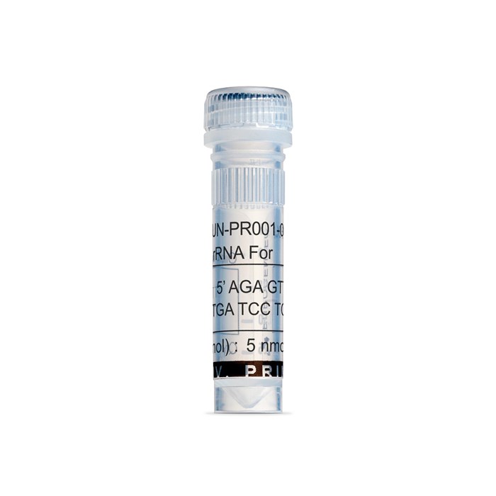 Tube of 16S rRNA Forward Primer