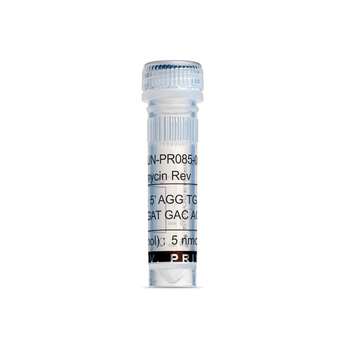 Tube of Neomycin Reverse Primer