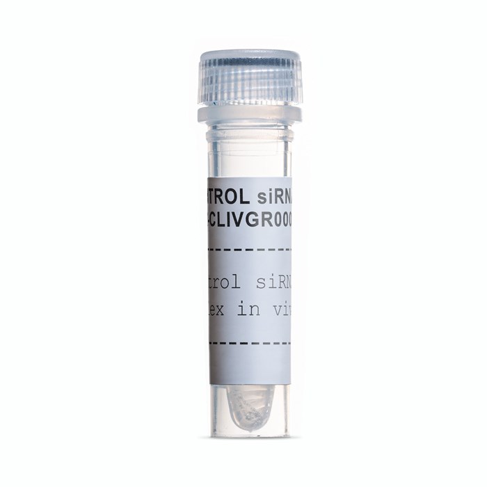 Tube of Control siRNA duplex negative control in vivo